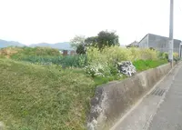 納の写真・動画_image_29055