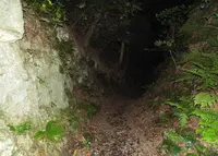 名越切通の写真・動画_image_29585