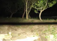 名越切通の写真・動画_image_29587