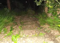 名越切通の写真・動画_image_29588