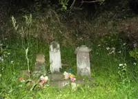 名越切通の写真・動画_image_29589