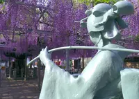 大歳神社　千年藤の写真・動画_image_29731