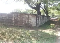 御殿山公園の写真・動画_image_29740