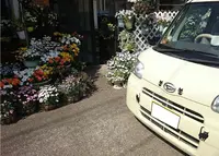 鹿沼市役所の写真・動画_image_29771