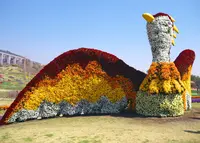 国営明石海峡公園の写真・動画_image_29860
