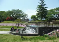 長峰公園の写真・動画_image_29951