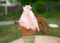 らいらっくの写真・動画_image_30053