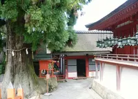 春日大社の写真・動画_image_30227