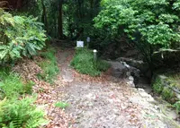 銀閣寺道（バス）の写真・動画_image_30275