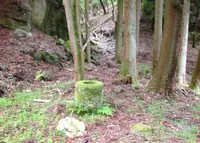 銀閣寺道（バス）の写真・動画_image_30279