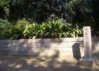 住吉大社の写真・動画_image_30343