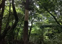 銀閣寺道（バス）の写真・動画_image_30434