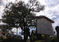 八大神社の写真・動画_image_30439