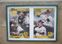 阪神甲子園球場の写真・動画_image_30488