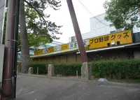 甲子園駅の写真・動画_image_30493