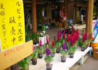 味わいの里三日月の写真・動画_image_30703