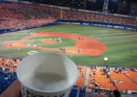 明治神宮野球場の写真・動画_image_30854