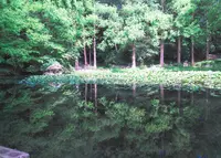 神戸市立須磨離宮公園の写真・動画_image_308771