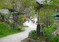 萌木の村の写真・動画_image_31070