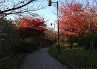 久世ニューリバー公園の写真・動画_image_32105