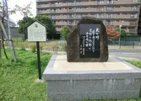 天野川緑地の写真・動画_image_32196
