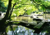尾山神社の写真・動画_image_32444