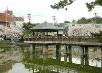 竜ヶ池の写真・動画_image_32630