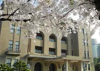 桜の名所の写真・動画_image_32666