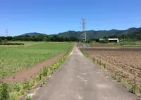 夜久野高原の写真・動画_image_32983