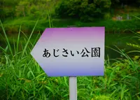 アジサイの里の写真・動画_image_33091