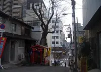 直木 三十五文学碑の写真・動画_image_33174