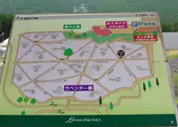 ラベンダーパーク多可の写真・動画_image_33261