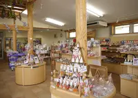 ラベンダーパーク多可の写真・動画_image_33266