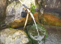 新松か井の水公園の写真・動画_image_33270