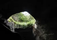 堂ケ島天窓洞の写真・動画_image_33356