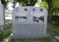 松島公園の写真・動画_image_34296