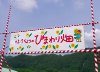 南光スポーツ公園（若あゆランド）の写真・動画_image_34548