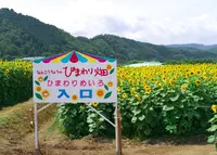 南光スポーツ公園（若あゆランド）の写真・動画_image_34550