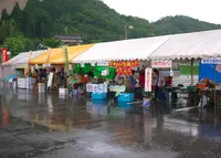 南光スポーツ公園（若あゆランド）の写真・動画_image_34555