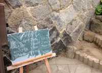 ネコノテパン工場の写真・動画_image_34580