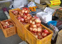 淡路島オニオンクラブの写真・動画_image_34658