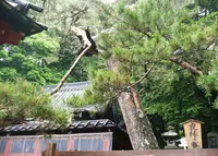 日光二荒山神社 中宮祠の写真・動画_image_35370