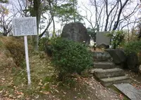 玉手山公園の写真・動画_image_35450