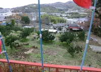 河内国分寺の写真・動画_image_35454