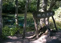 摩周湖の写真・動画_image_36285