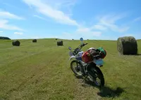 中標津町緑ヶ丘森林公園 キャンプ場の写真・動画_image_36375