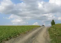 パッチワークの路の写真・動画_image_36393