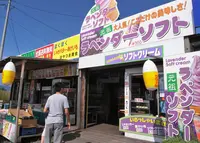 パッチワークの路の写真・動画_image_36401