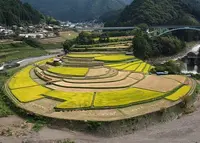 あらぎ島の写真・動画_image_36552