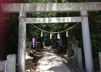 花の窟の写真・動画_image_37071